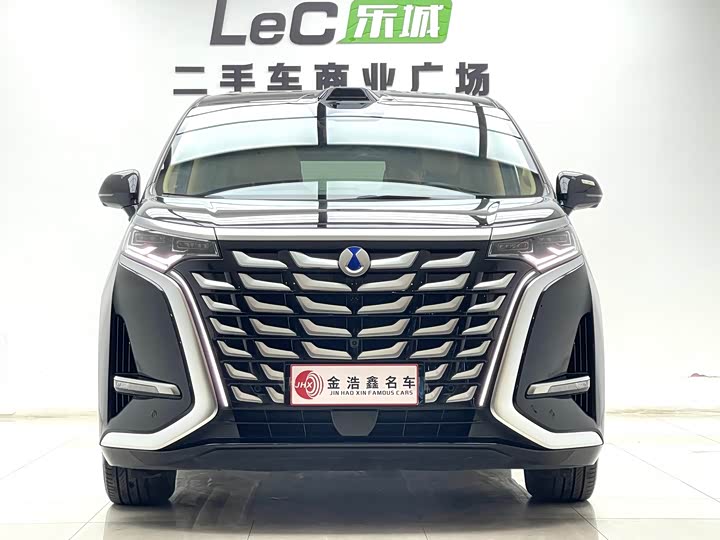 Фото 2 - Denza D9