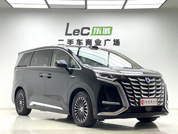 Фото 3 - Denza D9