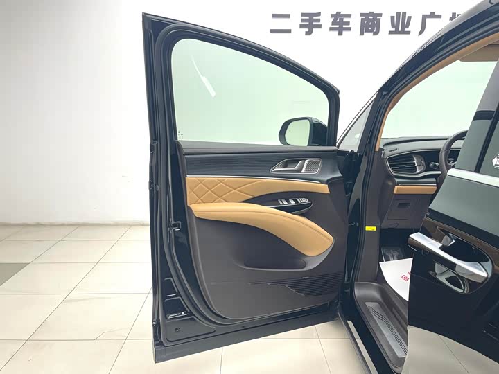 Фото 4 - Denza D9