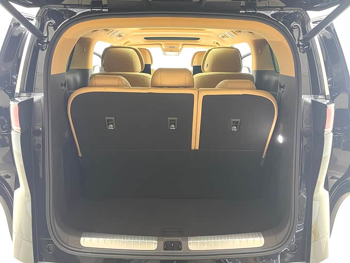 Фото 8 - Denza D9