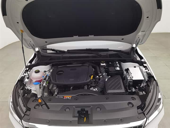 Фото 6 - Geely Emgrand