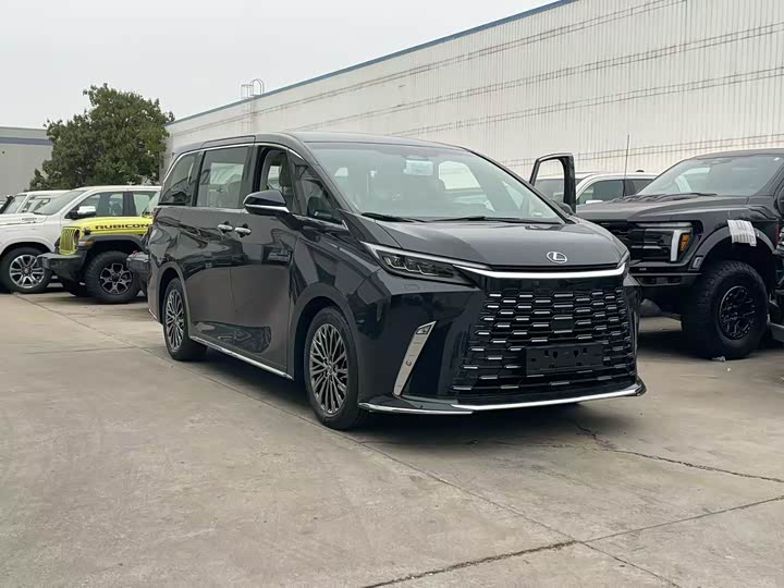 Фото 2 - Lexus LM