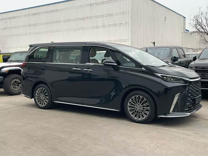 Фото 3 - Lexus LM