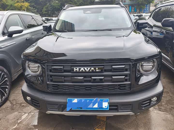 Фото 1 - Haval Dargo