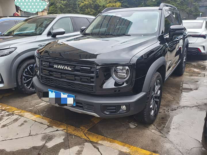 Фото 2 - Haval Dargo