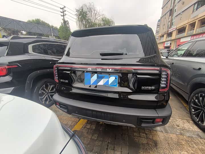 Фото 5 - Haval Dargo