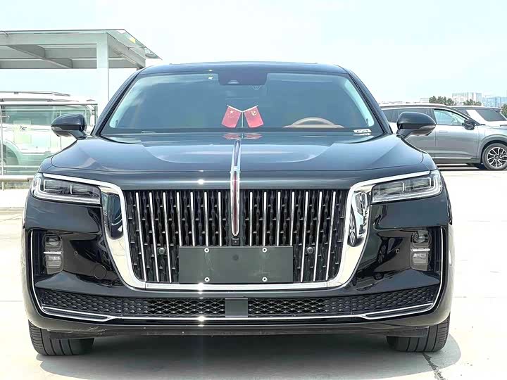 Фото 2 - Hongqi H9