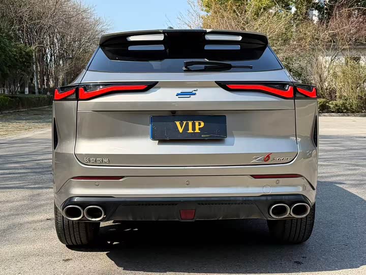 Фото 5 - Changan Oshan Z6