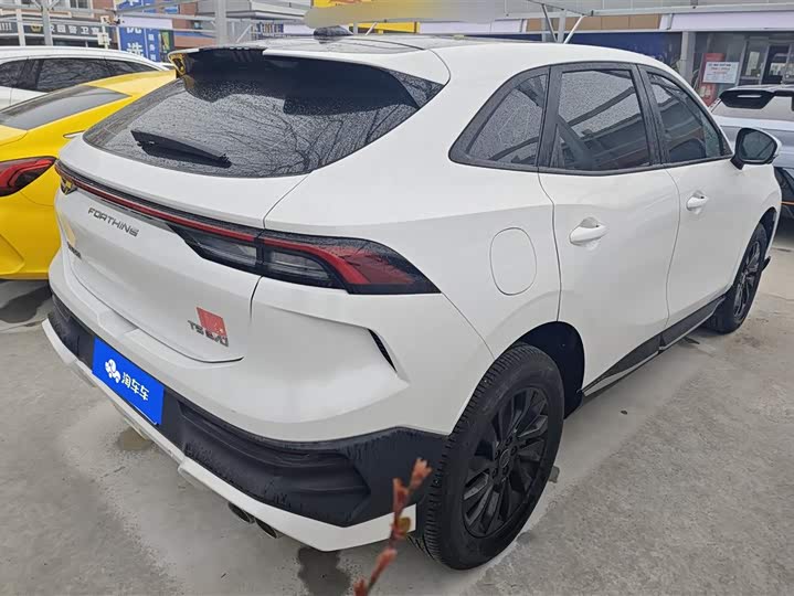 Фото 3 - Dongfeng Forthing T5 EVO