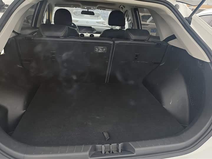 Фото 4 - Dongfeng Forthing T5 EVO