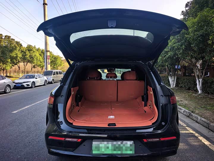 Фото 6 - BYD Tang L