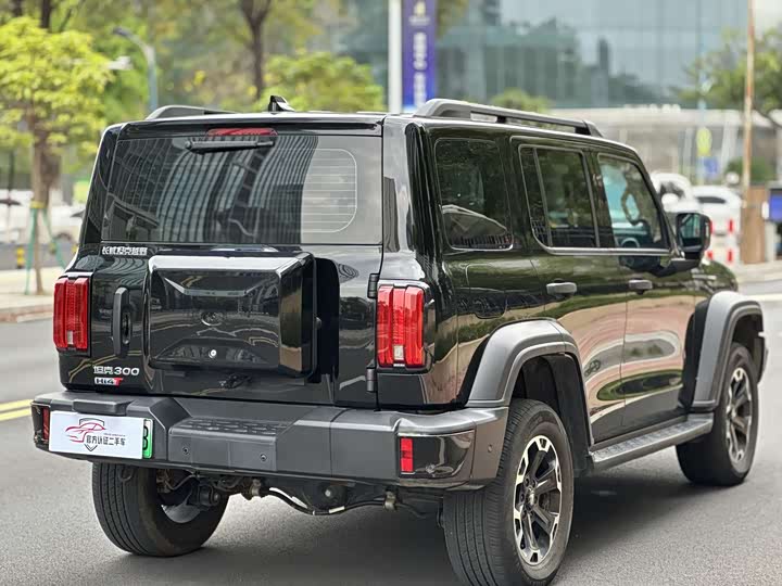 Фото 4 - Tank 300 Hybrid