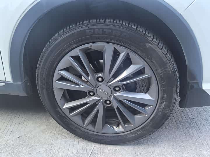 Фото 4 - Hozon V