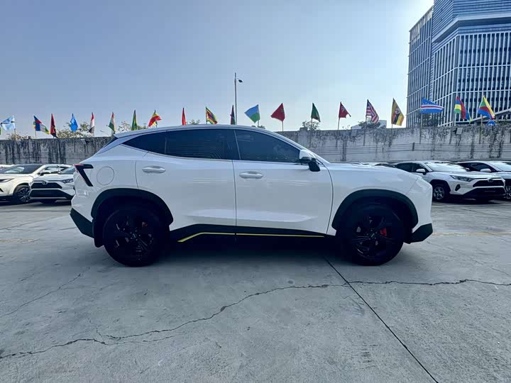 Фото 6 - Jetour Dashing