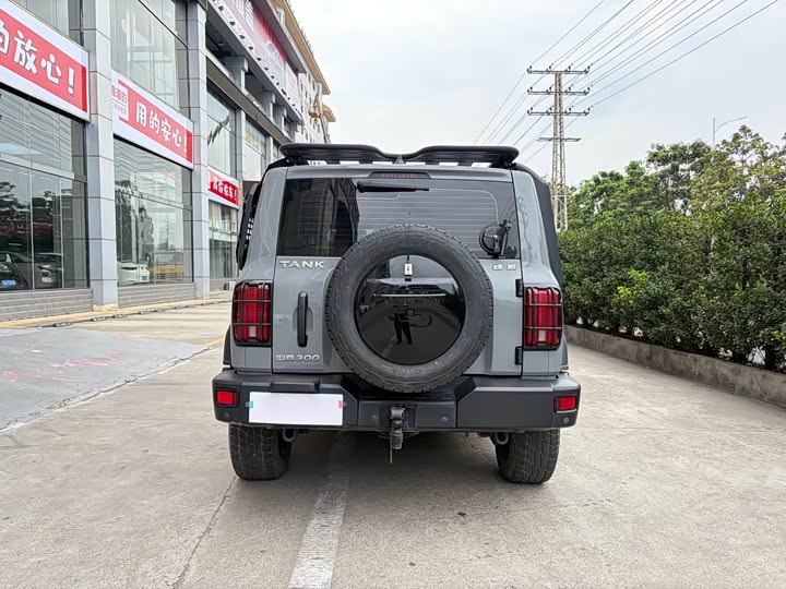 Фото 9 - Tank 300