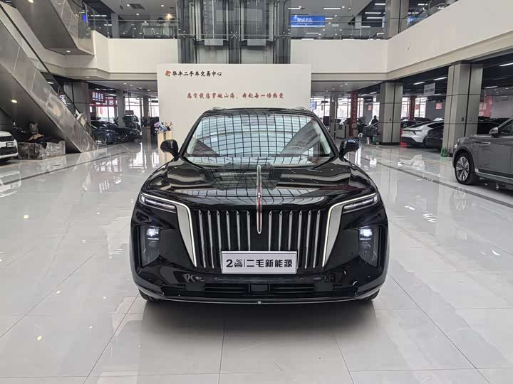 Фото 2 - Hongqi E-HS9