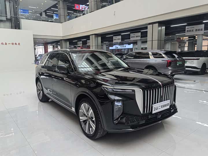 Фото 3 - Hongqi E-HS9