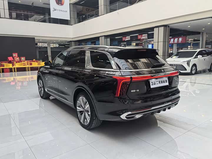Фото 5 - Hongqi E-HS9