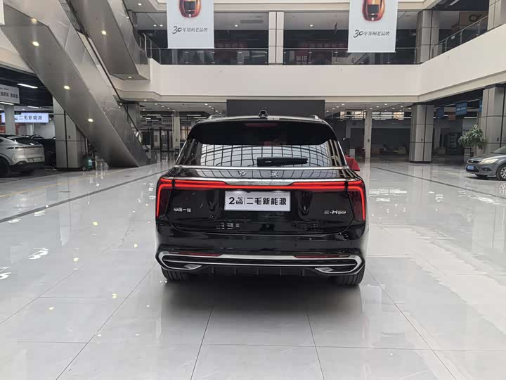 Фото 7 - Hongqi E-HS9