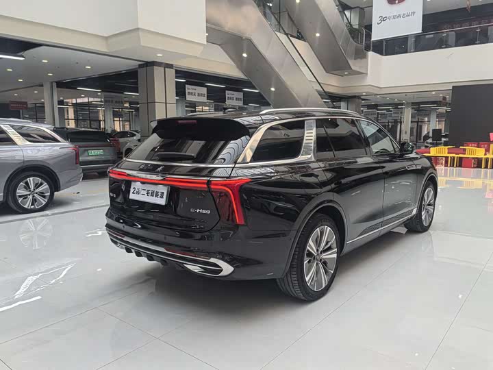 Фото 8 - Hongqi E-HS9