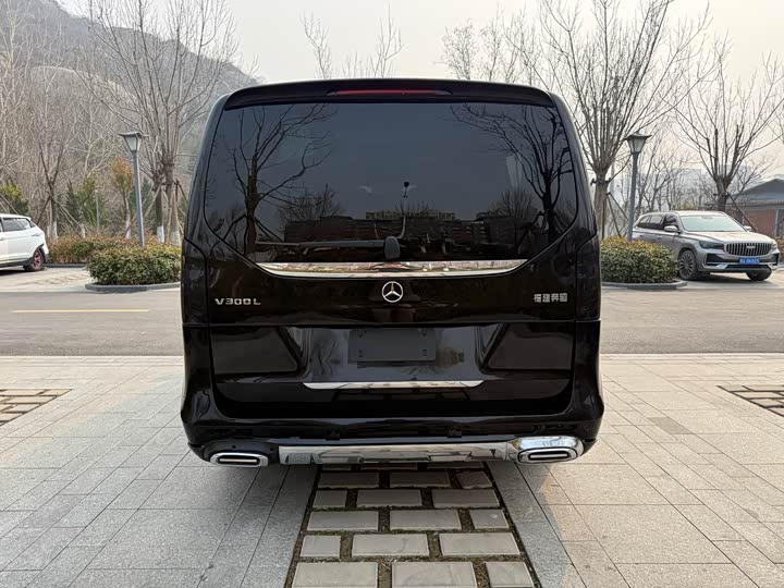 Фото 5 - Mercedes-Benz V-Class