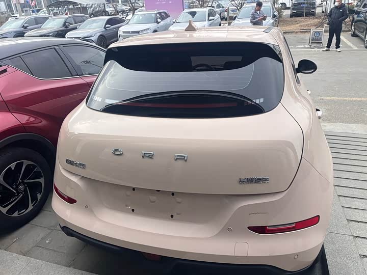 Фото 4 - Ora Good Cat (03)