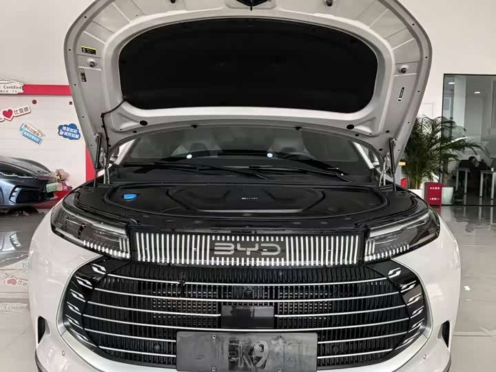 Фото 3 - BYD Frigate 07