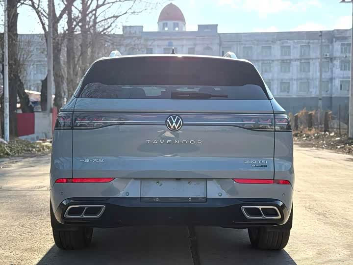 Фото 9 - Volkswagen Tavendor