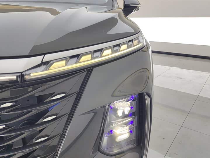 Фото 5 - Roewe RX5 Max