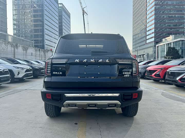 Фото 4 - Haval Dargo