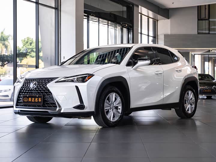 Фото 1 - Lexus UX