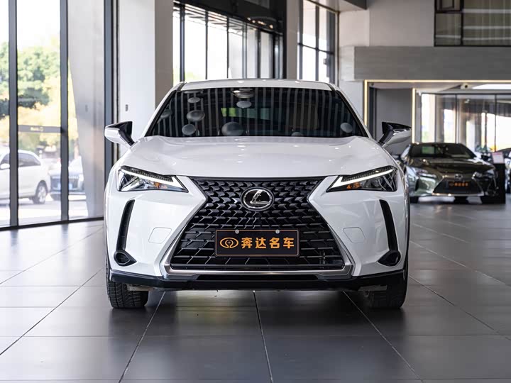 Фото 2 - Lexus UX