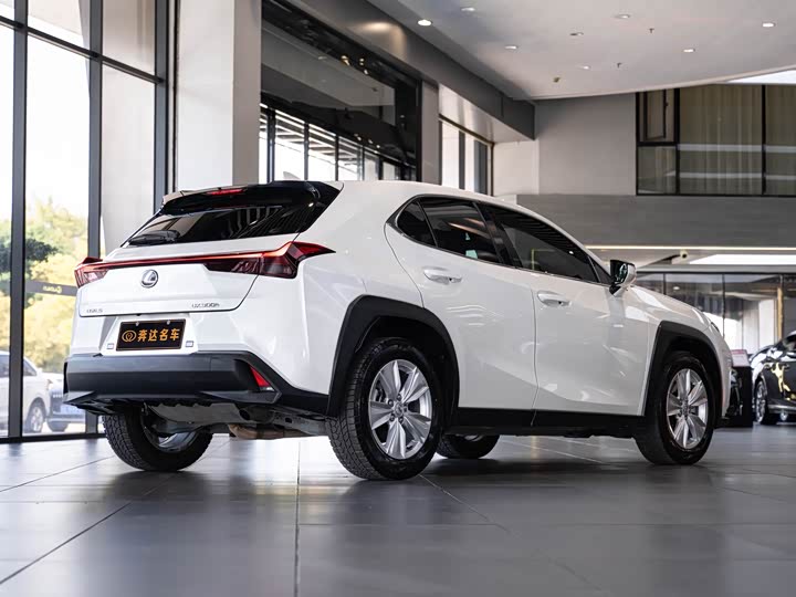 Фото 3 - Lexus UX