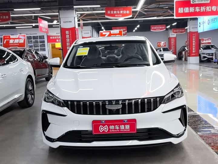 Фото 2 - Geely Binrui