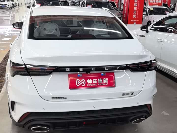 Фото 4 - Geely Binrui