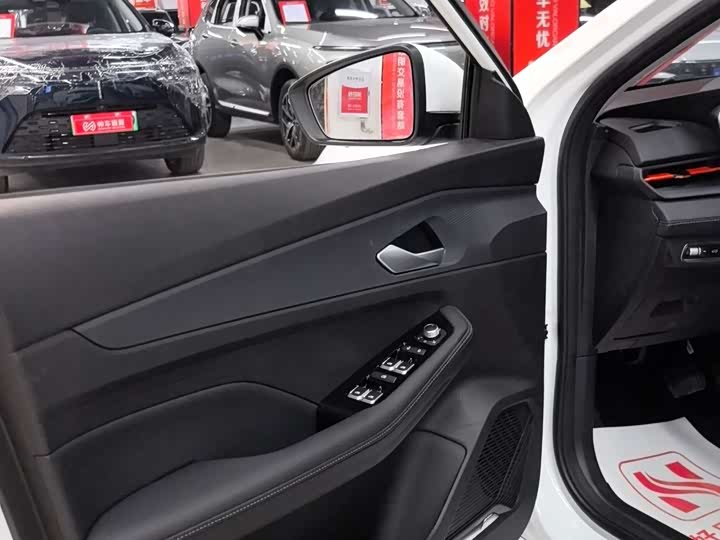 Фото 8 - Geely Binrui