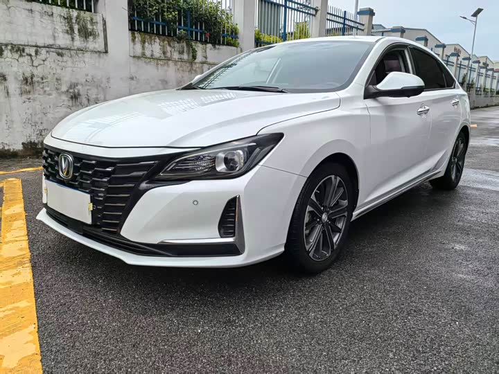 Фото 1 - Changan Raeton CC