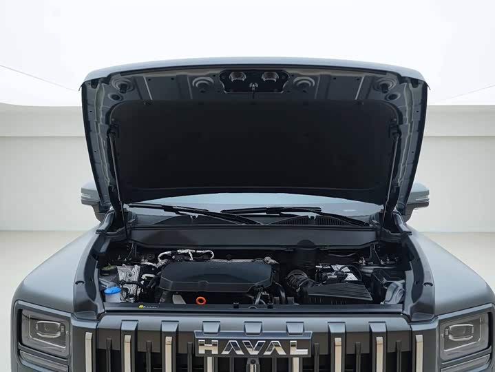 Haval Raptor 2025 2025款 2.0T 4WD Pro