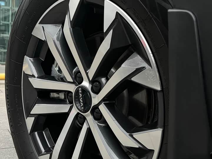 Photo 9 - Haval Dargo