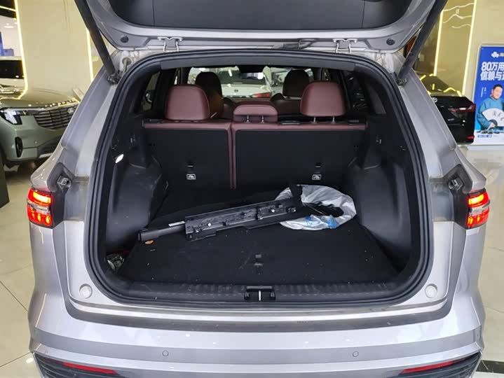 Фото 4 - Geely Monjaro