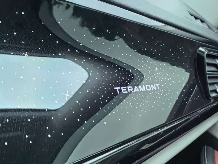 Photo 9 - Volkswagen Teramont Pro