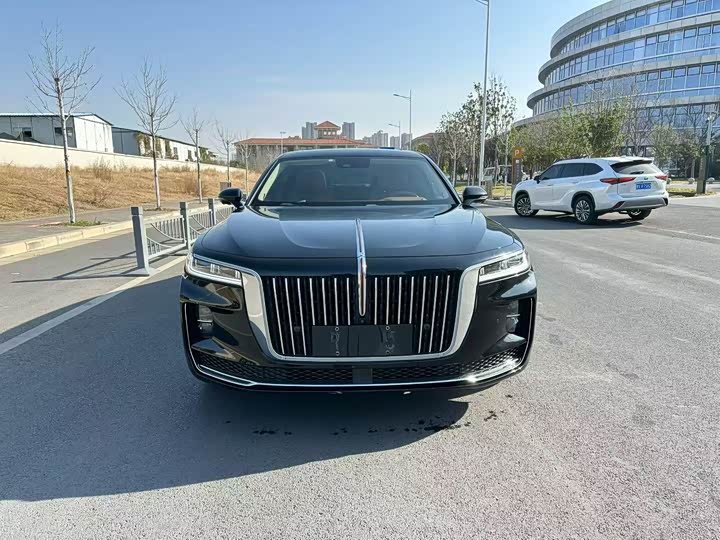 Фото 2 - Hongqi H9