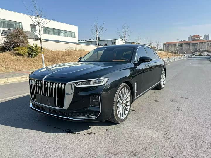 Фото 3 - Hongqi H9