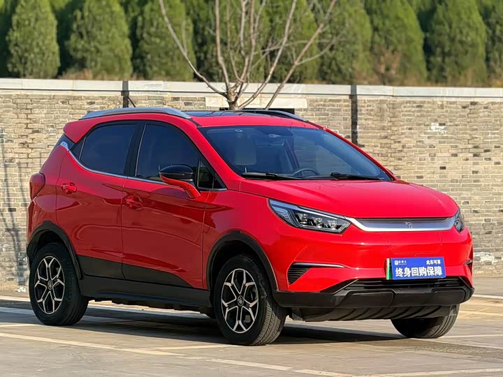 Фото 2 - BYD Yuan Pro