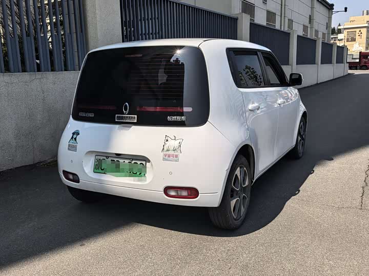 Photo 7 - Ora White Cat