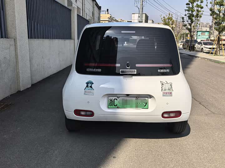 Photo 8 - Ora White Cat