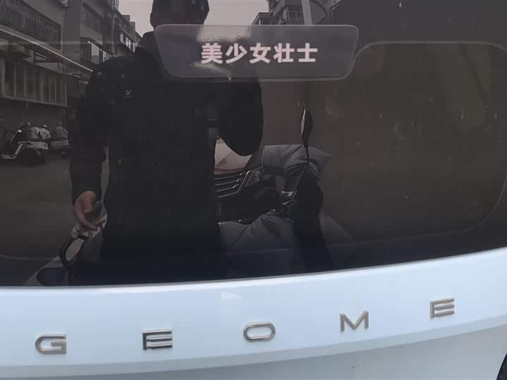 Фото 4 - Geely Galaxy Panda Mini