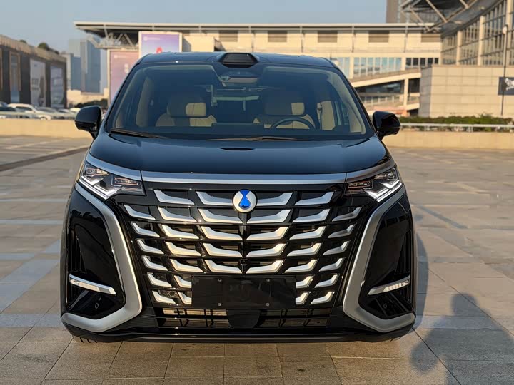 Фото 2 - Denza D9