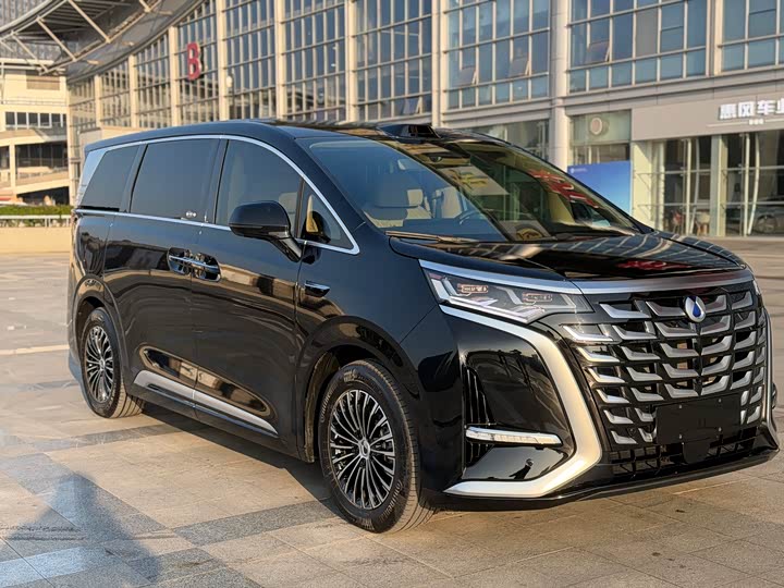 Фото 3 - Denza D9