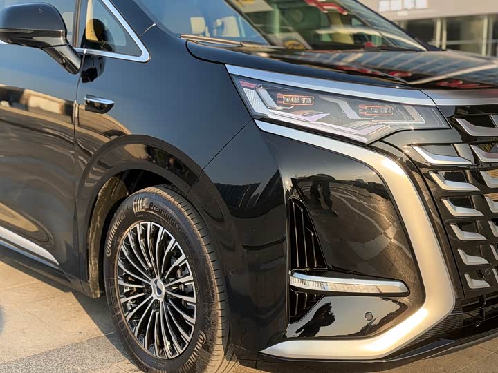 Фото 4 - Denza D9